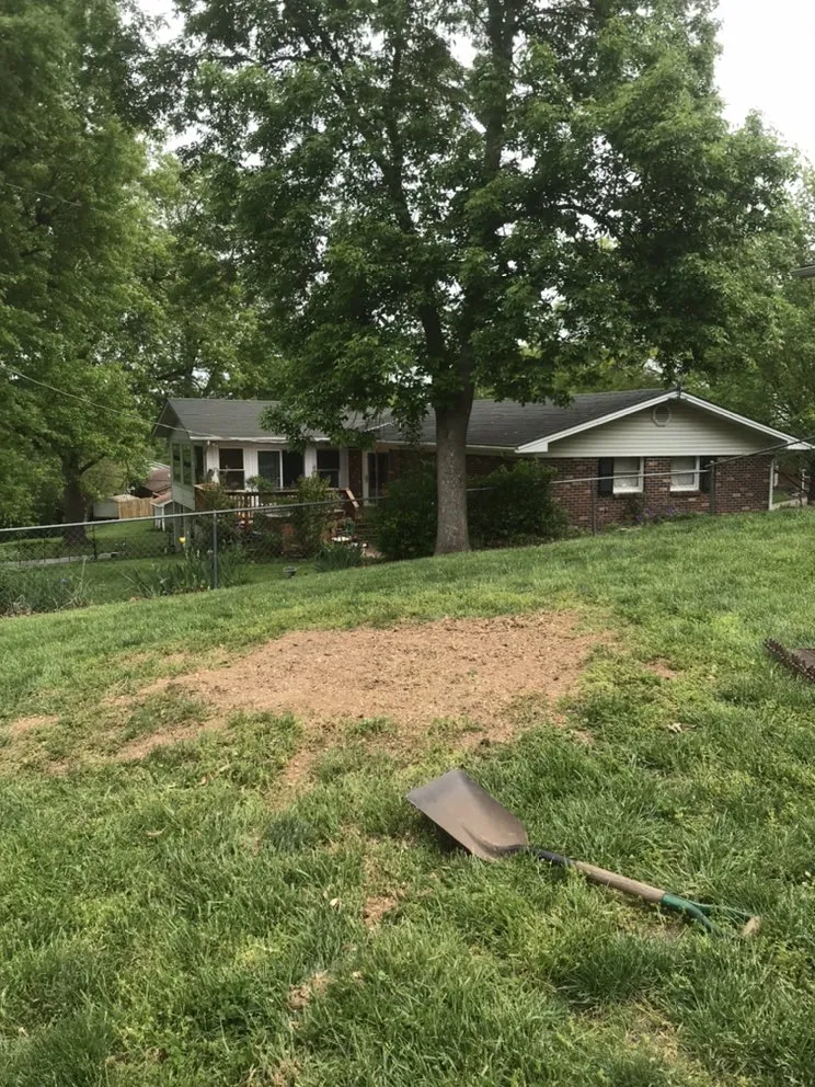 Professional lawn mowing service near you in Pacific, MO by StumpsOut