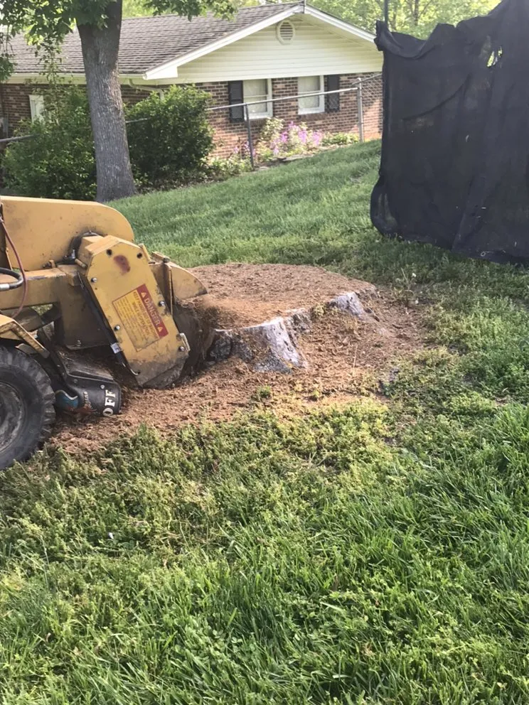 Custom residential landscaping in Pacific, MO - StumpsOut