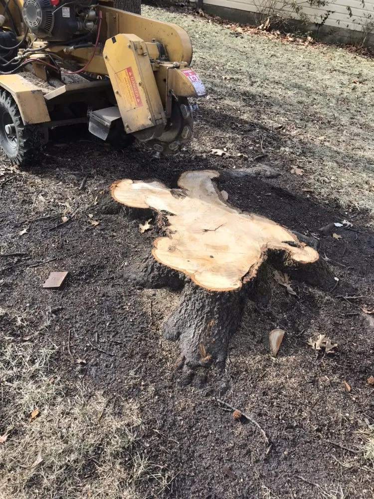 Trusted landscaping services in Pacific, MO by StumpsOut