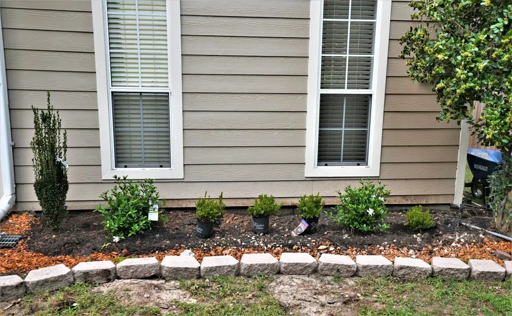 Local yard cleanup service experts serving Germantown, TN - Stumpty Dumpty Stump Removal