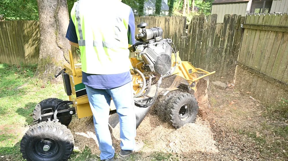 Affordable landscaping services near you across Germantown, TN - Stumpty Dumpty Stump Removal