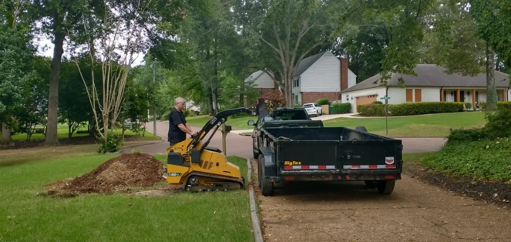Top-rated yard cleanup service in Germantown, TN - Stumpty Dumpty Stump Removal