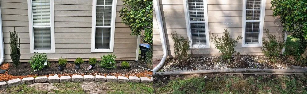 Trusted lawn care service experts serving Germantown, TN - Stumpty Dumpty Stump Removal