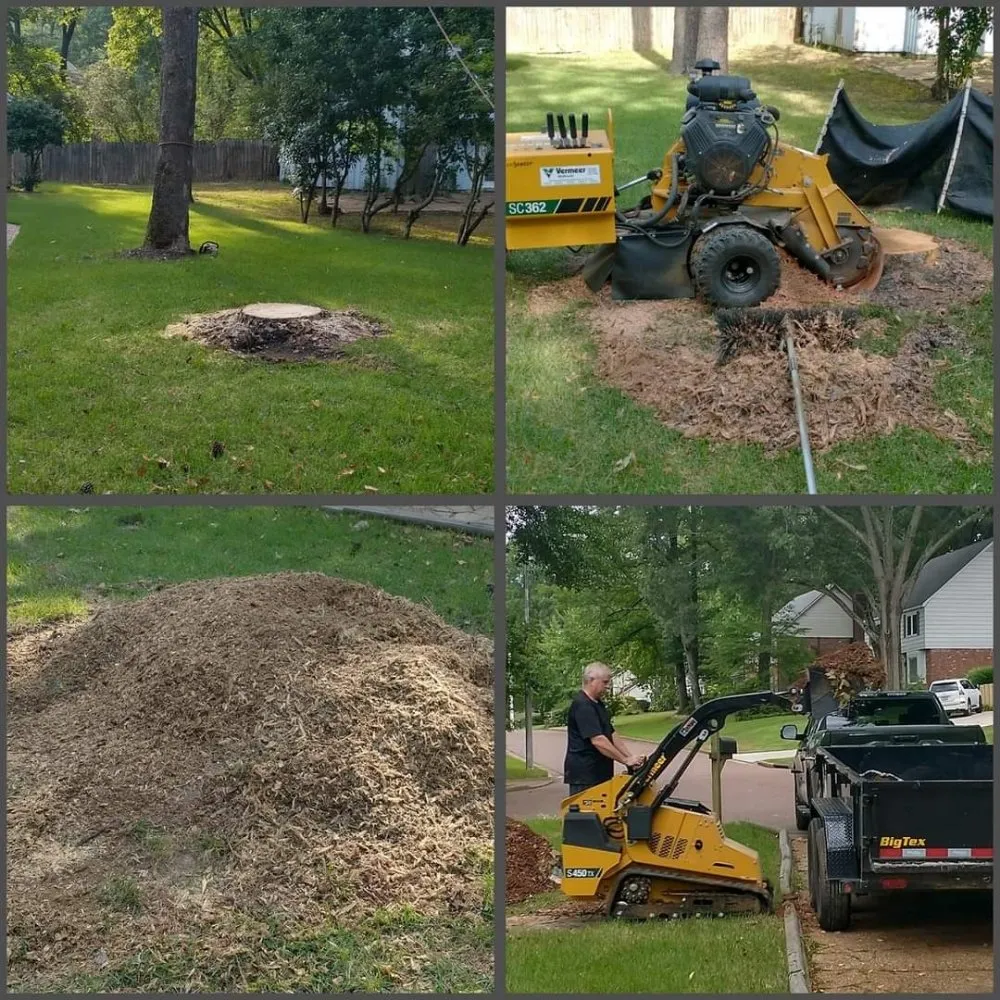 Top-rated garden landscaping for year-round maintenance in Germantown, TN by Stumpty Dumpty Stump Removal