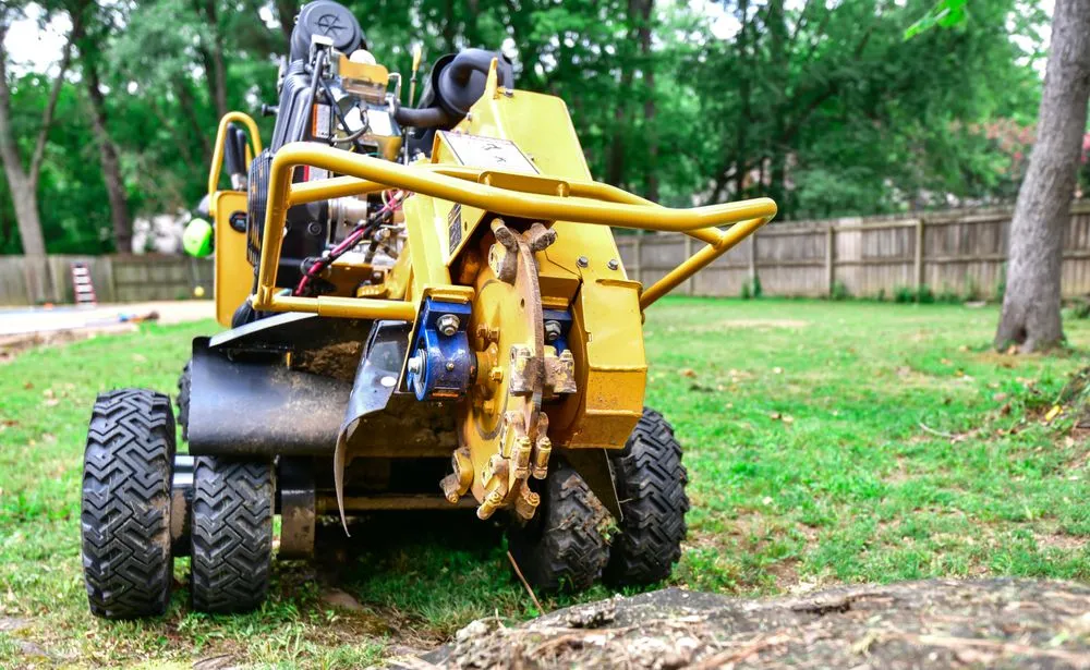 Local landscape design near you in Germantown, TN by Stumpty Dumpty Stump Removal