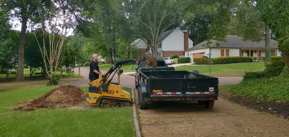 Professional outdoor landscaping for outdoor upgrades across Germantown, TN - Stumpty Dumpty Stump Removal