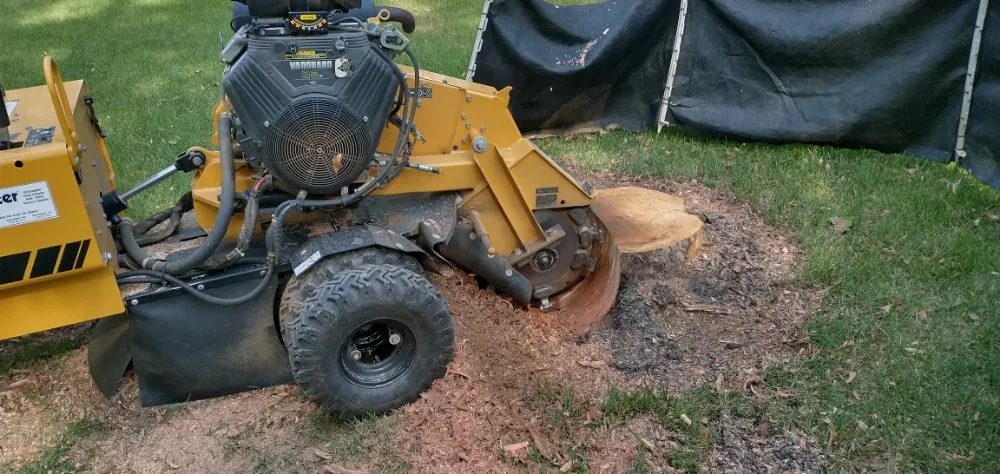 Professional landscape design in Germantown, TN - Stumpty Dumpty Stump Removal