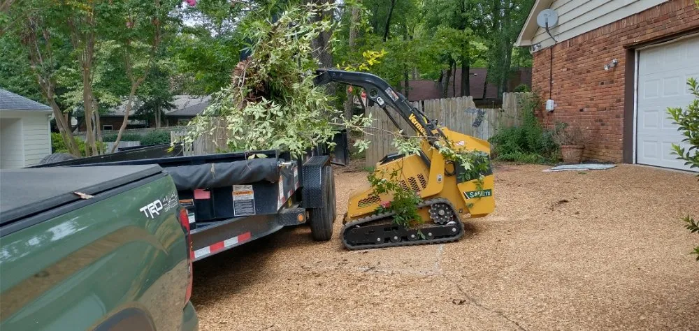Expert lawn care service experts serving Germantown, TN - Stumpty Dumpty Stump Removal