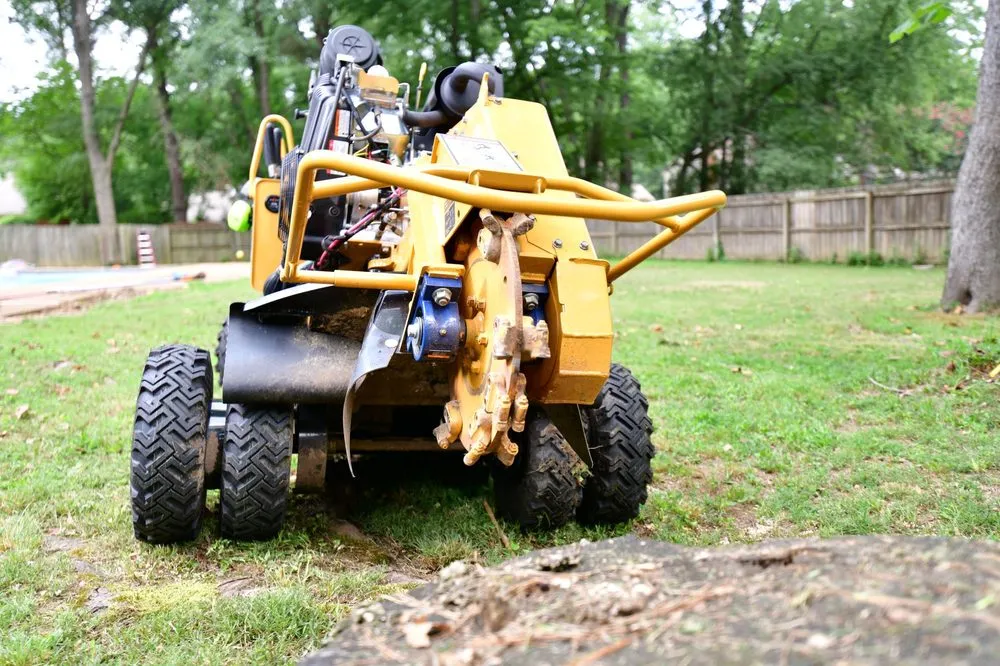 Affordable landscape design for beautiful yards in Germantown, TN by Stumpty Dumpty Stump Removal
