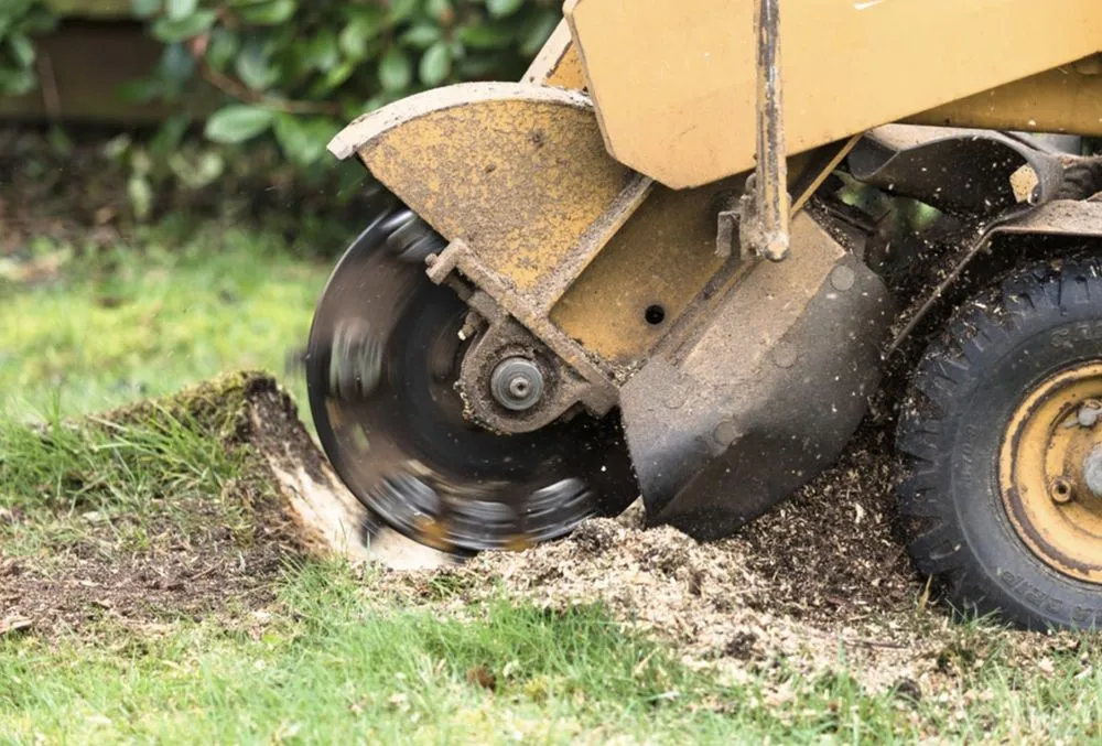 Professional yard cleanup service in Simsbury, CT - Stumpy McGrinder's