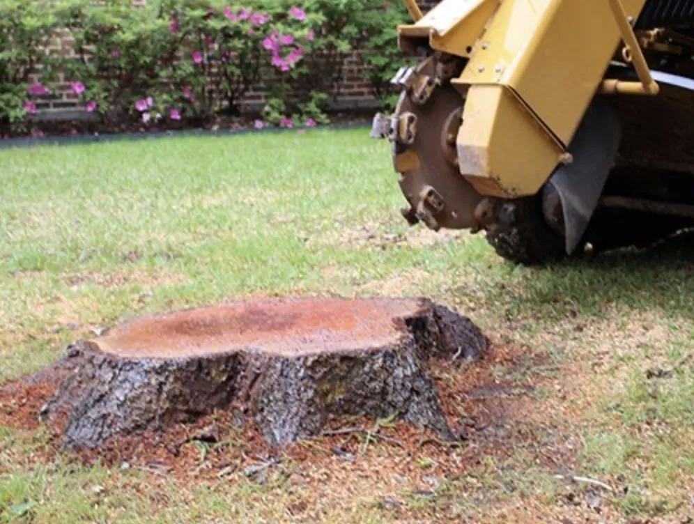 Professional lawn care service for outdoor upgrades in Simsbury, CT by Stumpy McGrinder's