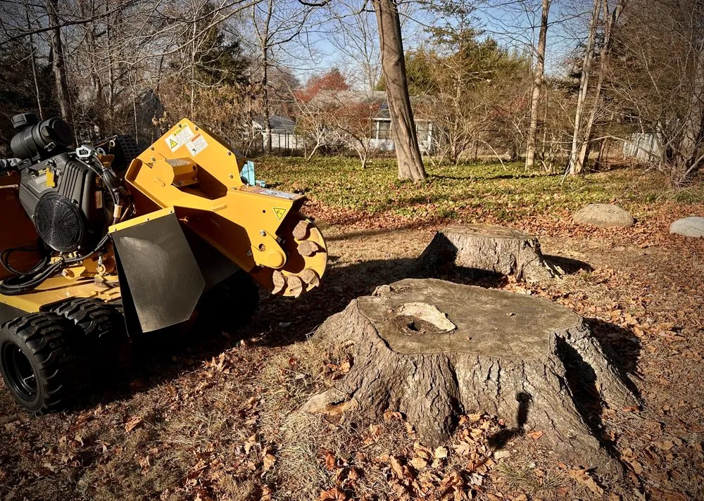Trusted yard maintenance for outdoor upgrades in Simsbury, CT by Stumpy McGrinder's