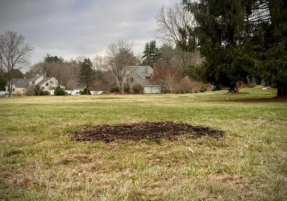 Professional residential landscaping for beautiful yards across Simsbury, CT - Stumpy McGrinder's