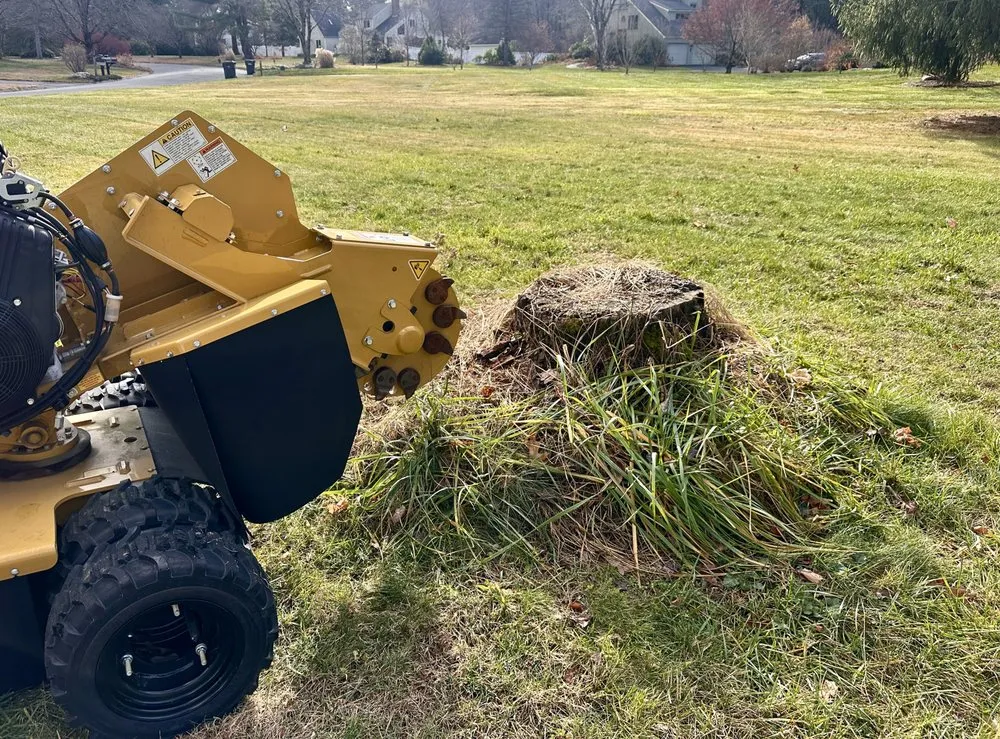 Expert landscaping services for residential properties in Simsbury, CT by Stumpy McGrinder's