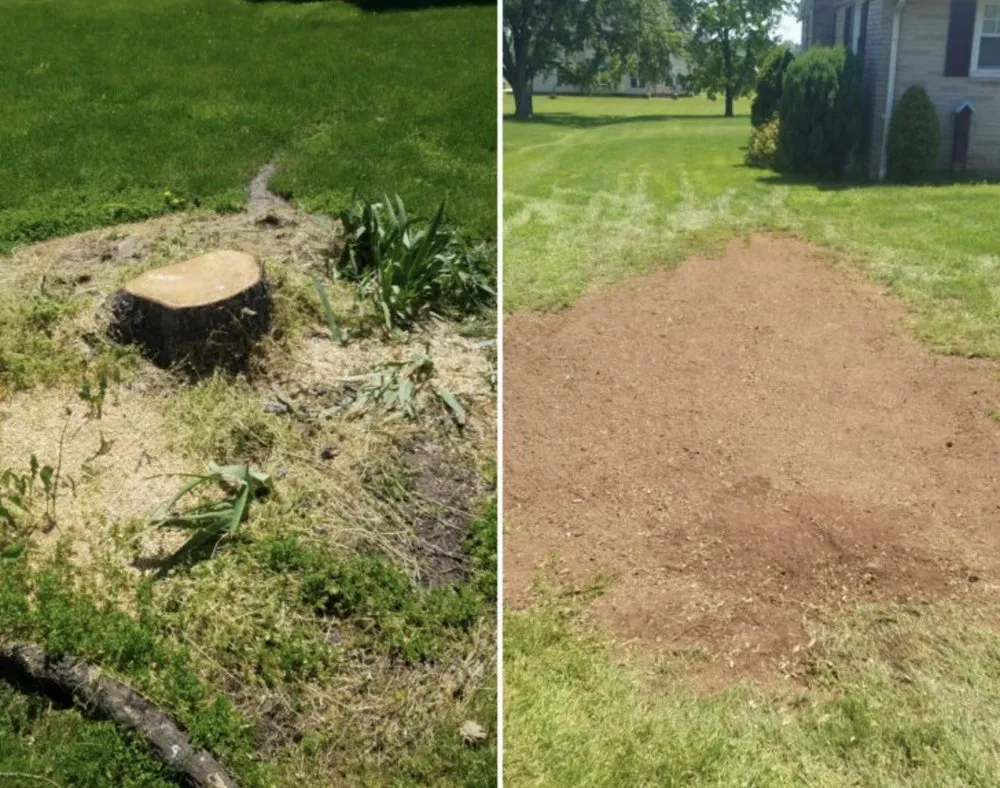 Expert garden landscaping in Simsbury, CT by Stumpy McGrinder's