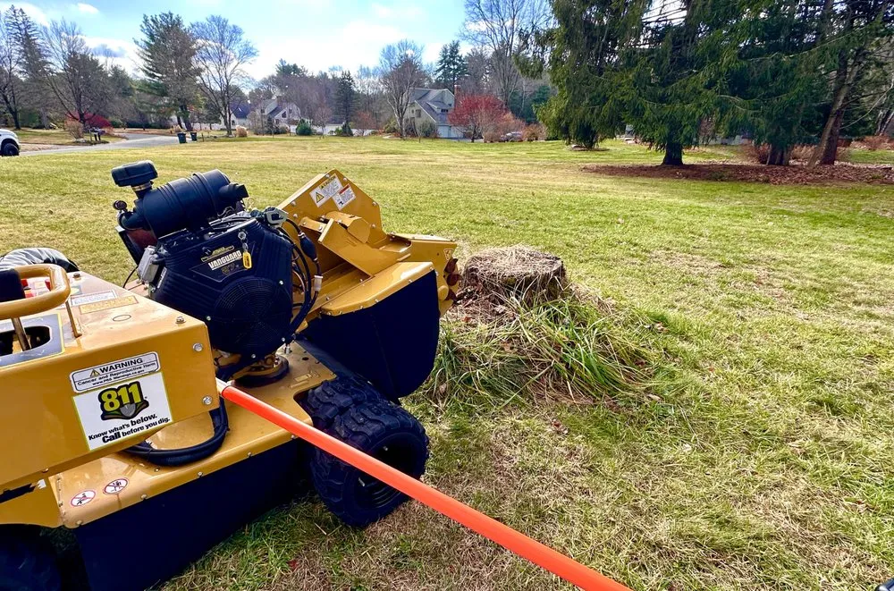 Affordable landscape design in Simsbury, CT by Stumpy McGrinder's
