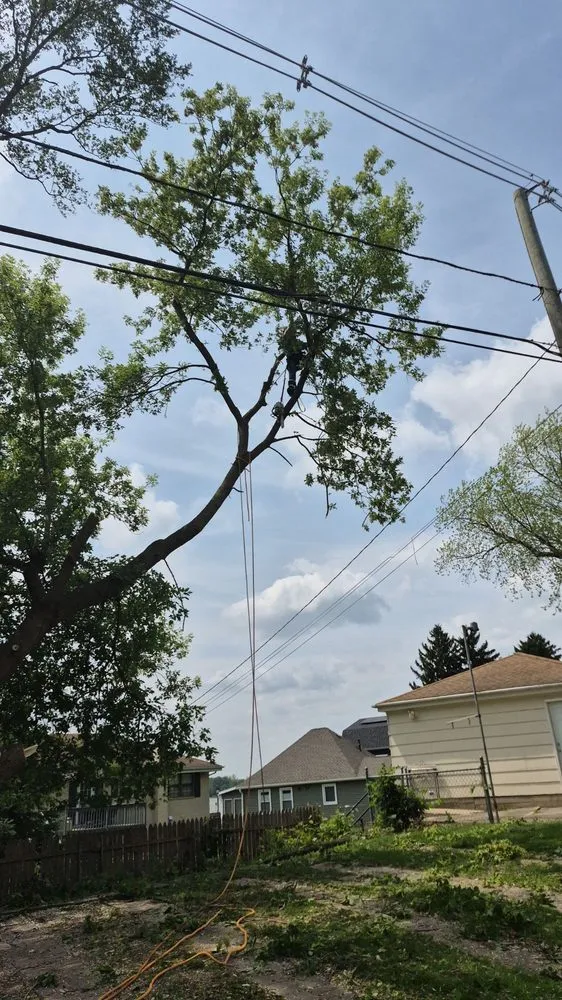 Custom garden landscaping in Brownwood, TX by Stumpy's Landscaping &Tree Service