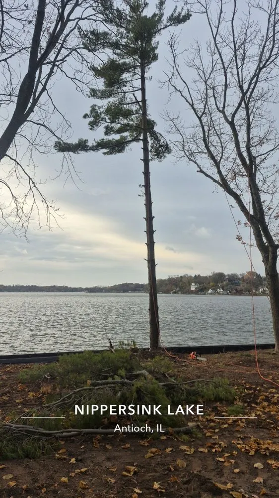 Reliable residential landscaping in Brownwood, TX - Stumpy's Landscaping &Tree Service