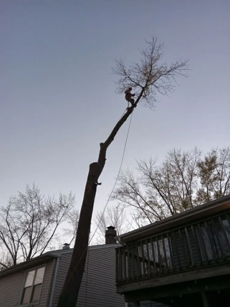 Professional garden landscaping in Brownwood, TX by Stumpy's Landscaping &Tree Service