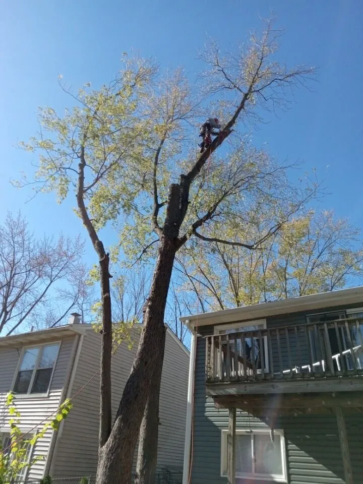 Affordable residential landscaping experts serving Brownwood, TX - Stumpy's Landscaping &Tree Service