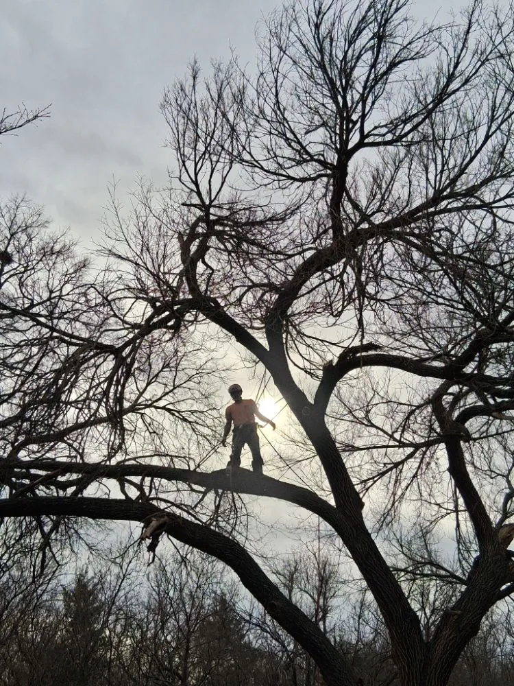 Reliable landscape design in Brownwood, TX by Stumpy's Landscaping &Tree Service