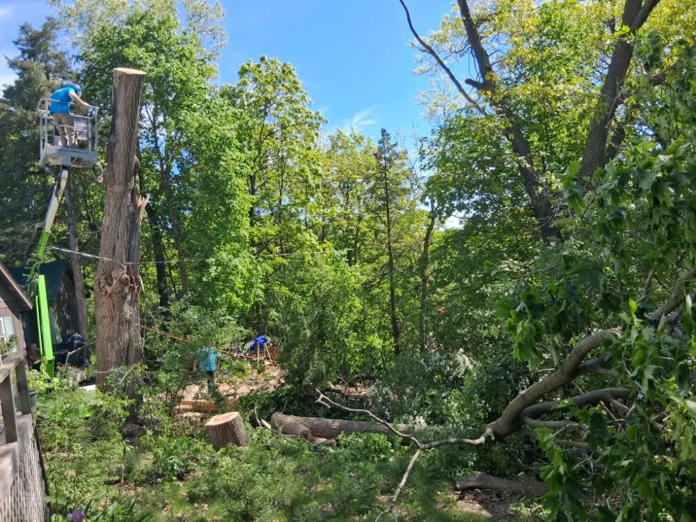 Top-rated yard maintenance experts serving Brownwood, TX - Stumpy's Landscaping &Tree Service