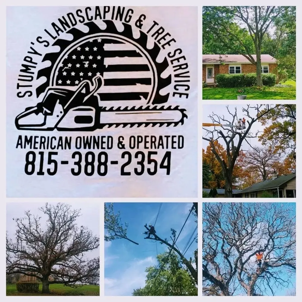 Top-rated landscape installation in Brownwood, TX by Stumpy's Landscaping &Tree Service