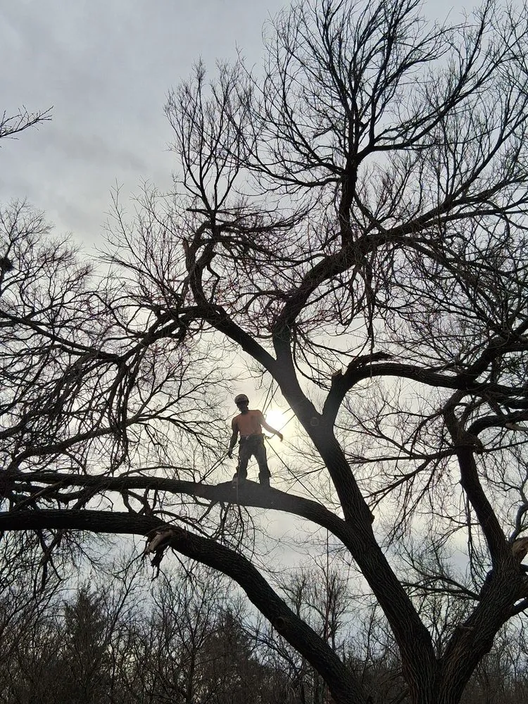 Reliable lawn mowing service in Brownwood, TX by Stumpy's Landscaping &Tree Service