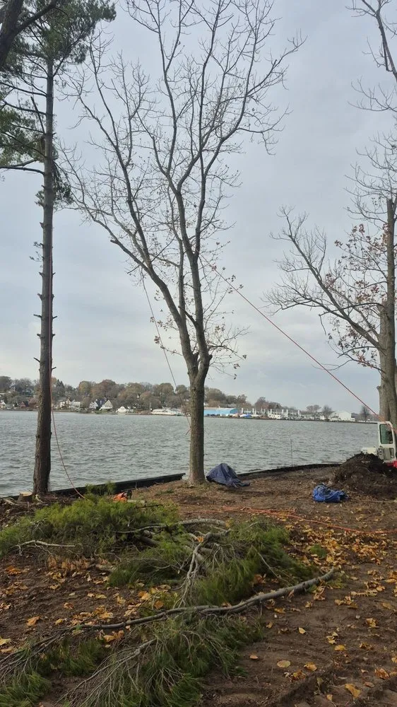 Expert residential landscaping in Brownwood, TX by Stumpy's Landscaping &Tree Service