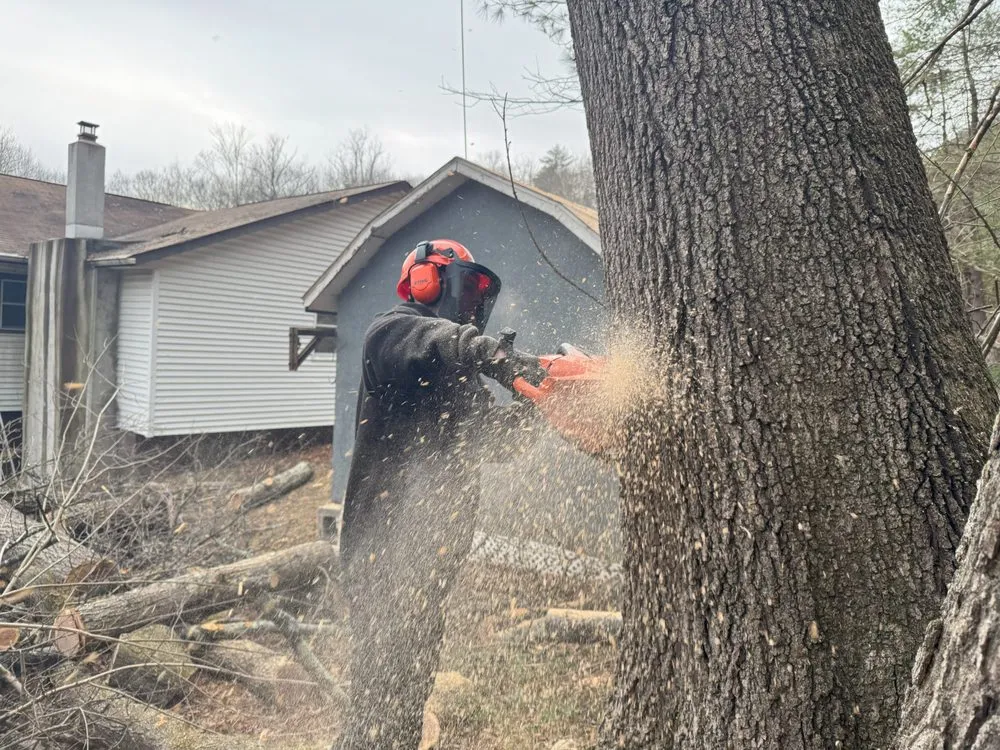 Professional landscape installation in Dingmans Ferry, PA by Stumpy's Stump Grinding & Site Services