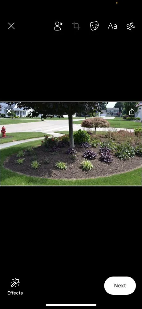 Professional yard cleanup service in South Holland, IL by Stuna’s Landscaping