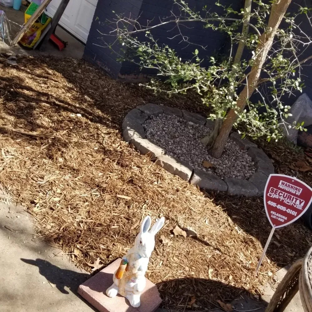 Affordable lawn care service for year-round maintenance in Norman, OK by Stunnin Greens