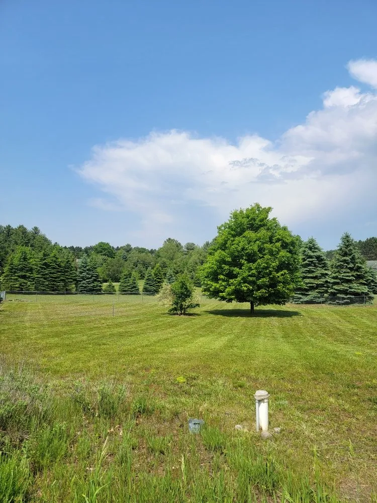 Expert lawn care service experts serving Traverse City, MI - Stunning Lawn Care