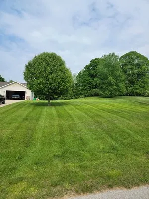 Stunning Lawn Care Logo