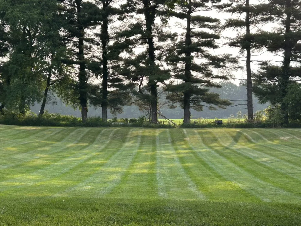 Professional landscape installation for outdoor upgrades in Denver, IN by Sturch’s Complete Lawn Care