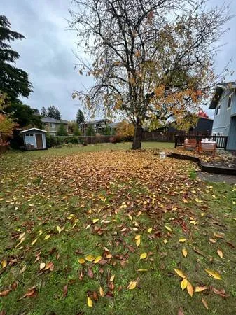 Local landscaping services experts serving Newberg, OR - Sturdevant's Outdoor Services