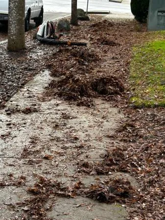 Affordable garden landscaping near you in Newberg, OR by Sturdevant's Outdoor Services