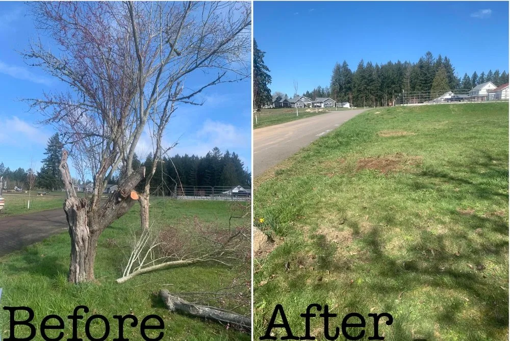 Professional yard maintenance in Chehalis, WA - Sturdy Fencing and Landscaping