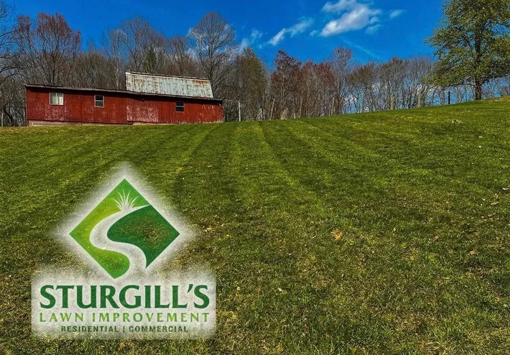 Expert landscape installation for beautiful yards across Nettie, WV - Sturgill’s Lawn Improvement