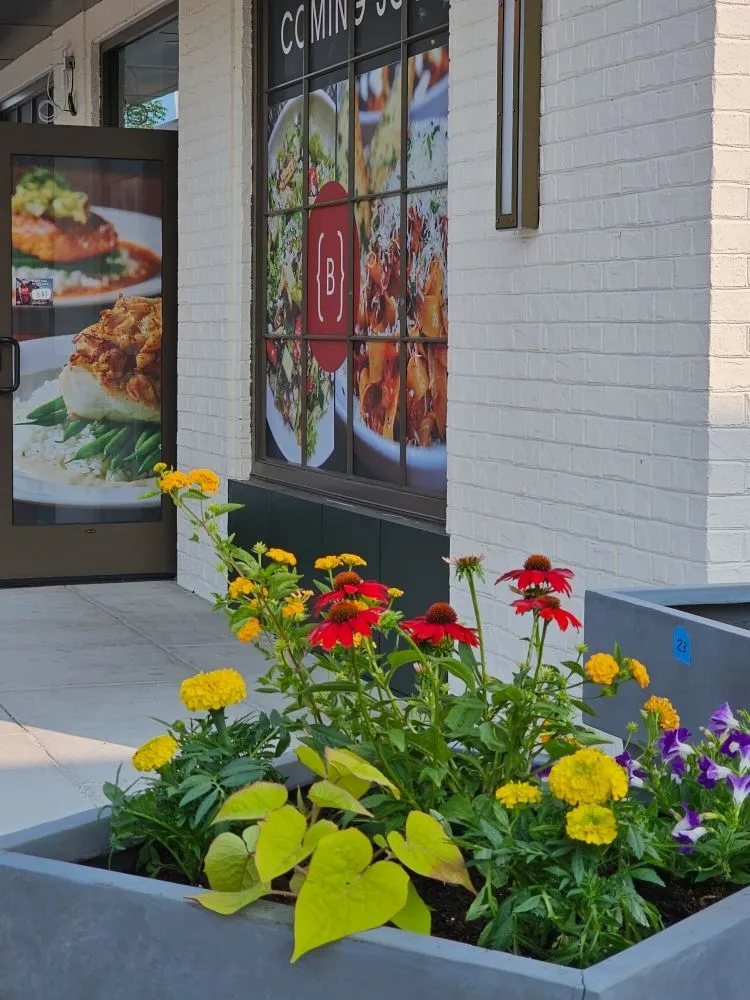 Reliable yard cleanup service for year-round maintenance in Henrico, VA by Sturgis Botanical Landscaping