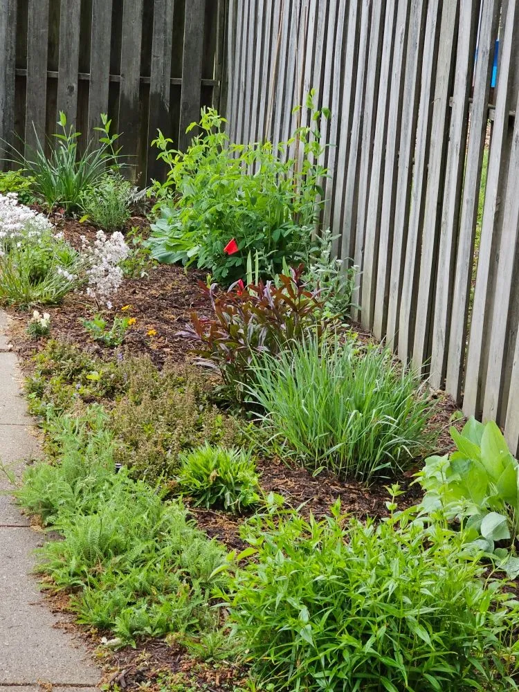 Custom outdoor landscaping in Henrico, VA by Sturgis Botanical Landscaping