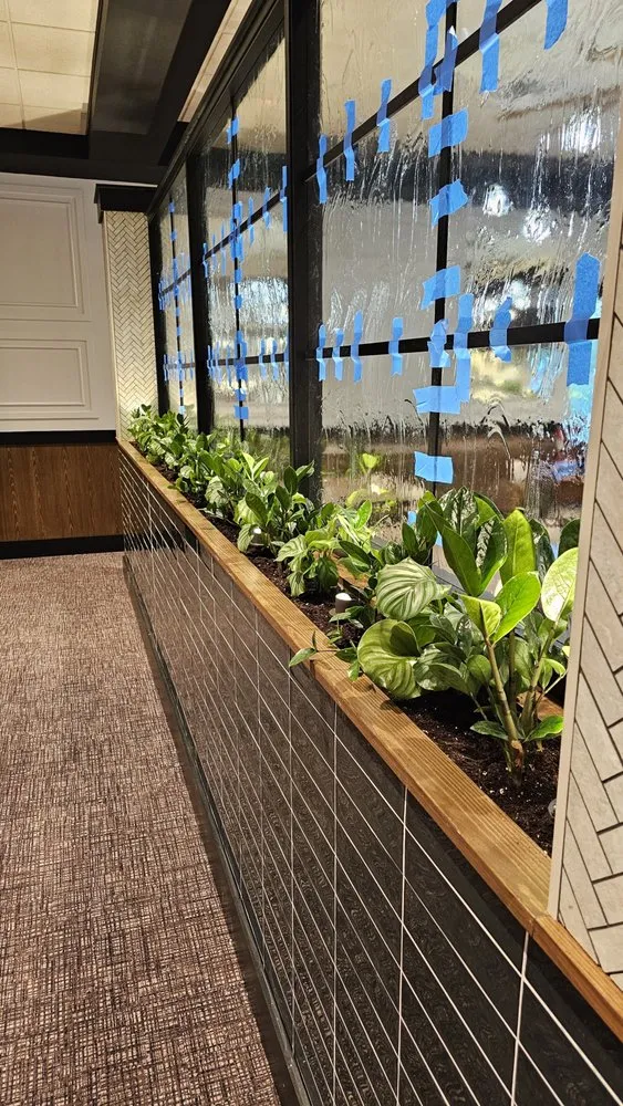 Custom yard cleanup service in Henrico, VA by Sturgis Botanical Landscaping