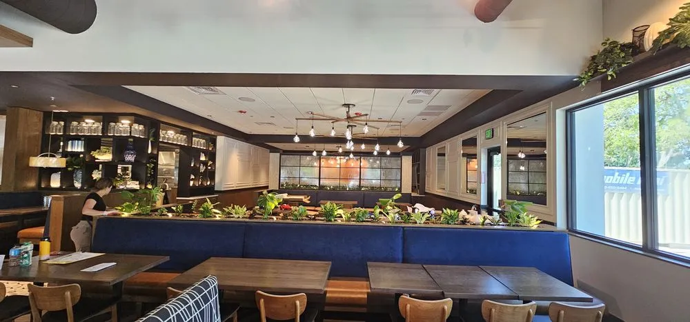 Custom lawn care service in Henrico, VA by Sturgis Botanical Landscaping