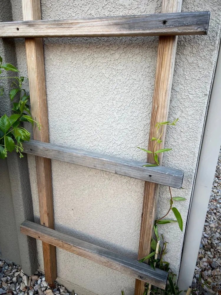 Reliable landscape design for beautiful yards in Sacramento, CA by Stuteville Landscaping