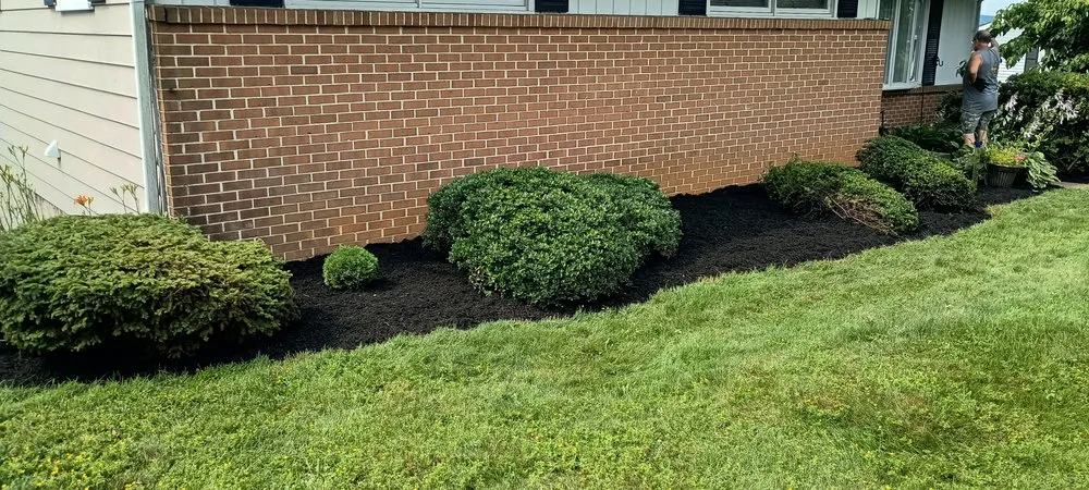 Professional lawn care service for beautiful yards in Narvon, PA by Styer's Property Management
