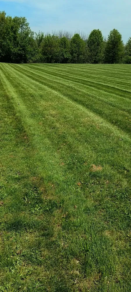 Affordable landscaping services in Narvon, PA - Styer's Property Management