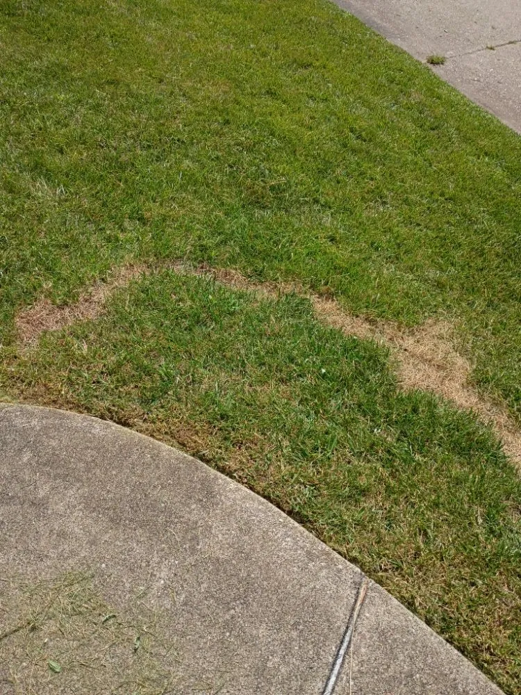 Reliable outdoor landscaping near you in South Charleston, WV by Styles Lawncare