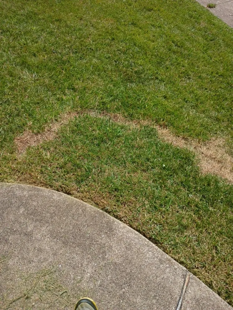 Expert lawn care service experts serving South Charleston, WV - Styles Lawncare