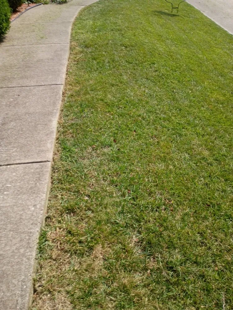 Reliable landscape installation for beautiful yards in South Charleston, WV by Styles Lawncare