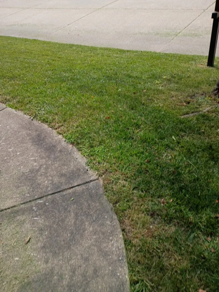 Reliable outdoor landscaping for beautiful yards in South Charleston, WV by Styles Lawncare